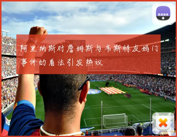 阿里纳斯对詹姆斯与韦斯特友妈门事件的看法引发热议