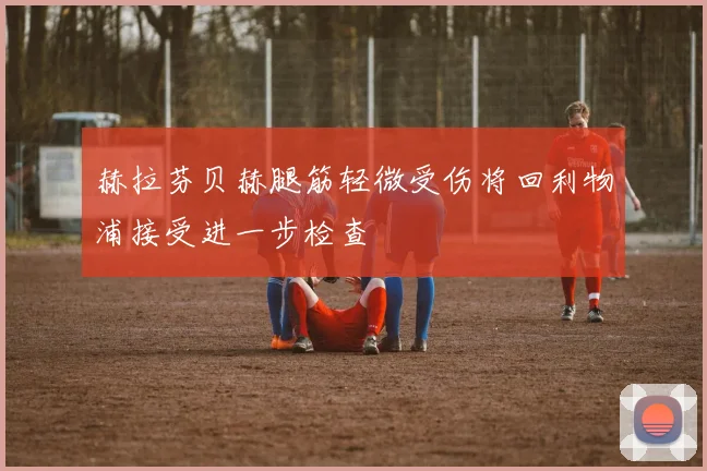赫拉芬贝赫腿筋轻微受伤将回利物浦接受进一步检查